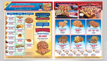 Direct Mail Flyer
