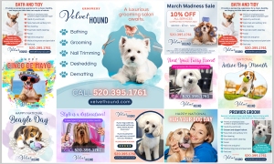 velvet-hound-groomery-social-media-A